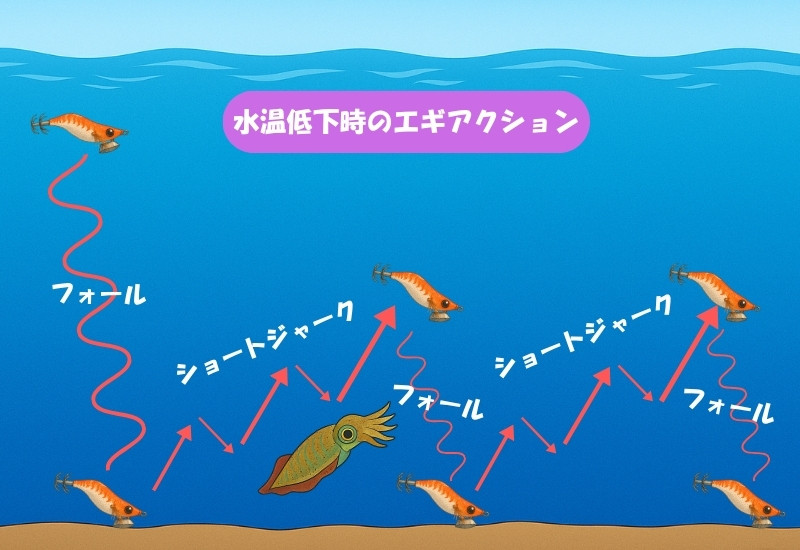 水温低下時のエギのアクションを説明している図