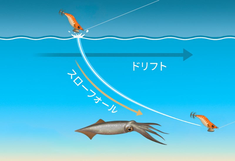 ヤリイカエギングの基本アクションを説明している図