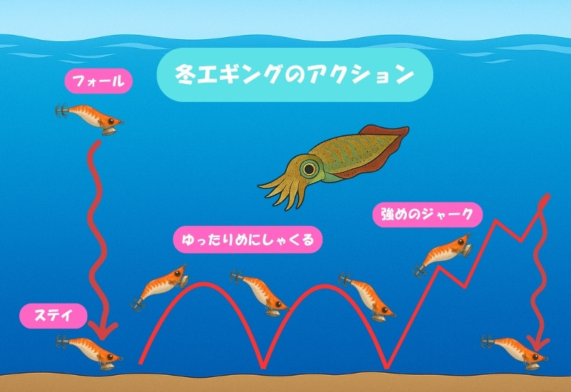 冬エギングのアクションを説明しているイラスト