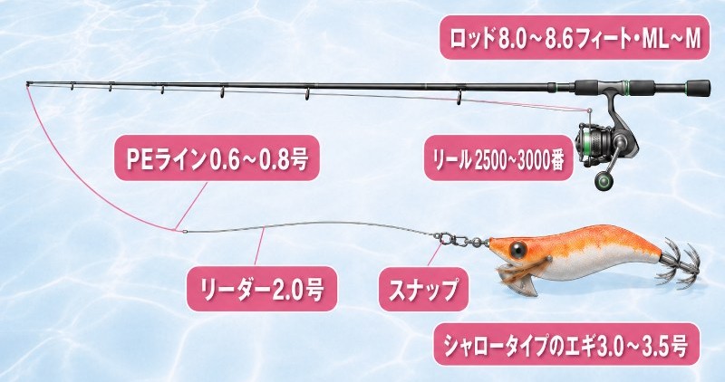 シャローエリアにおすすめのエギとタックル