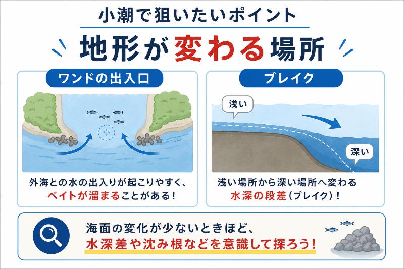 ワンドの出入口や地形変化を説明している図