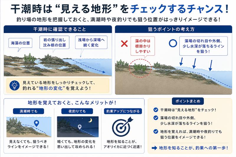 干潮で見える藻場や沈み根の周辺を説明している図