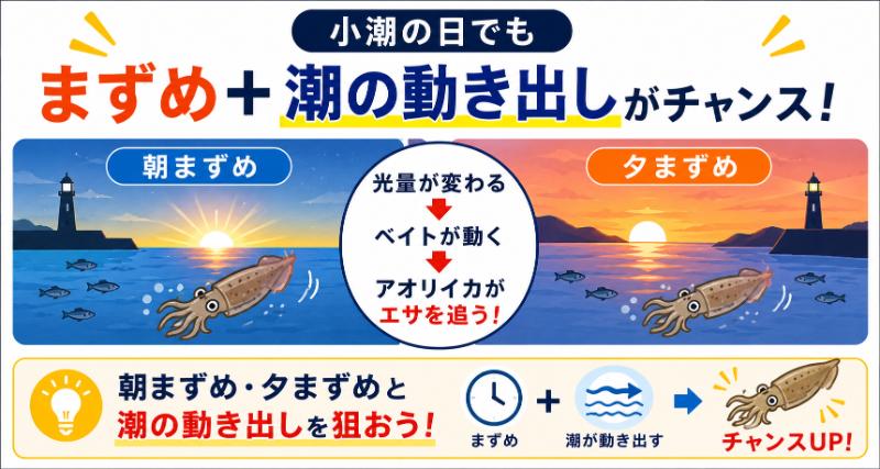朝まずめ・夕まずめと重なる時間を狙うを説明している図