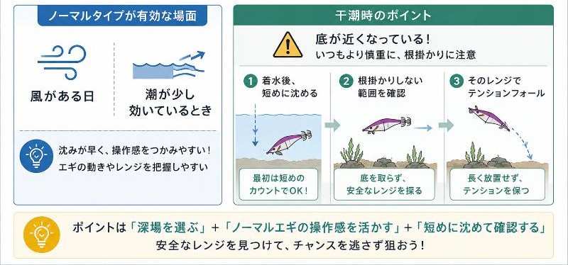水深が残る場所ではノーマルタイプも使えるを説明している図