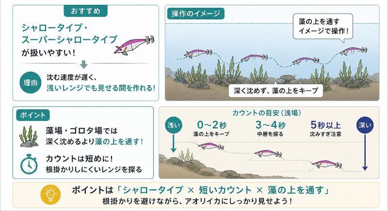 浅場ではシャロータイプを使うを説明している図